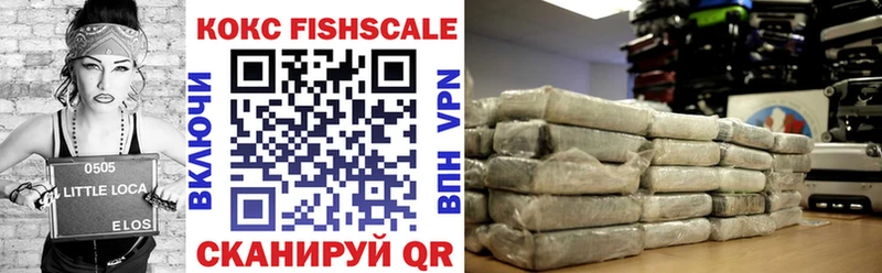 КОКАИН Fish Scale  купить наркотики сайты  Салаир 
