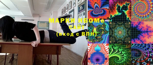 индика Армянск