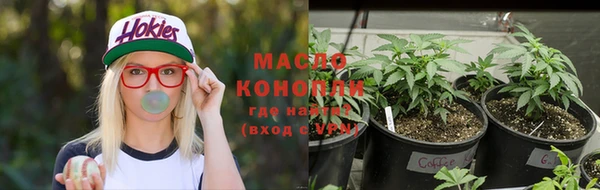 индика Армянск