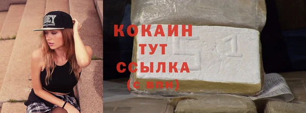 прущий лед Аркадак