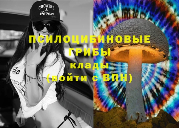 индика Армянск
