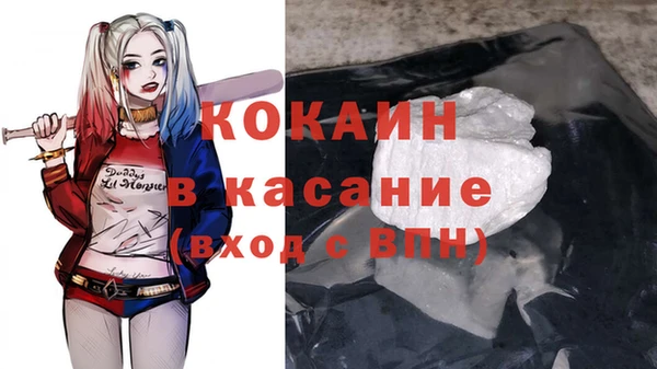индика Армянск