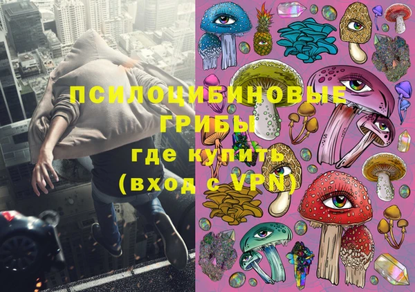 индика Армянск